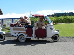 August 2016 Vespatreffen Zell